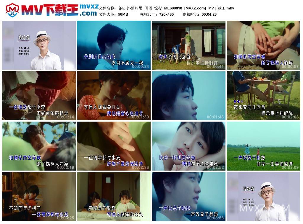 郭忠李-泪相思_国语_流行_ME600818